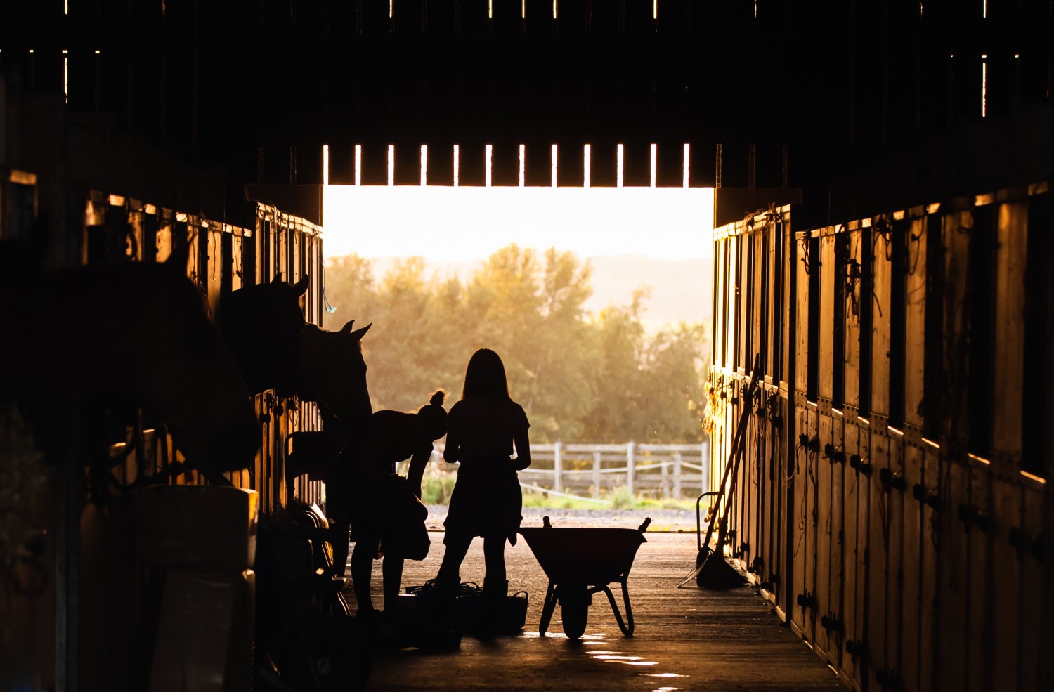 From Stable Yard to Residential Haven